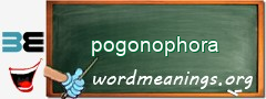 WordMeaning blackboard for pogonophora